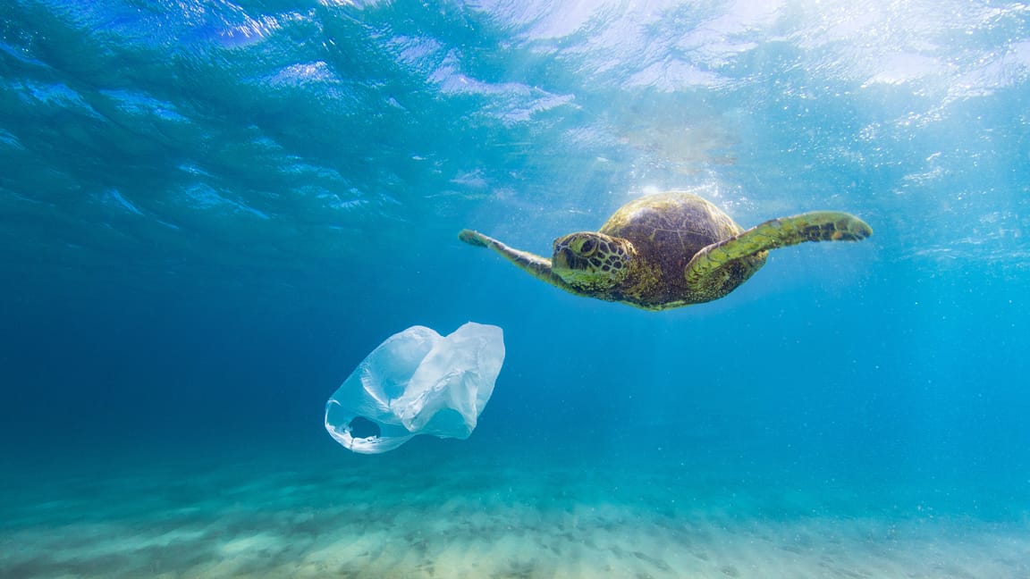 EU Commission plans ban on plastic waste