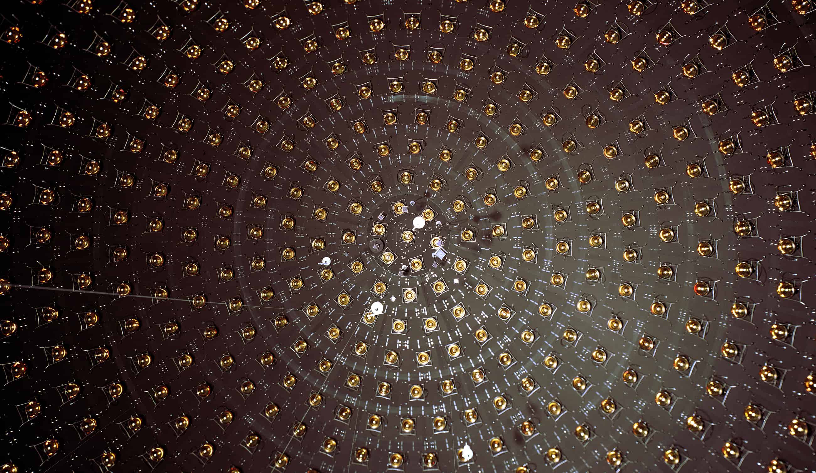 Evidence Found for a New Fundamental Particle