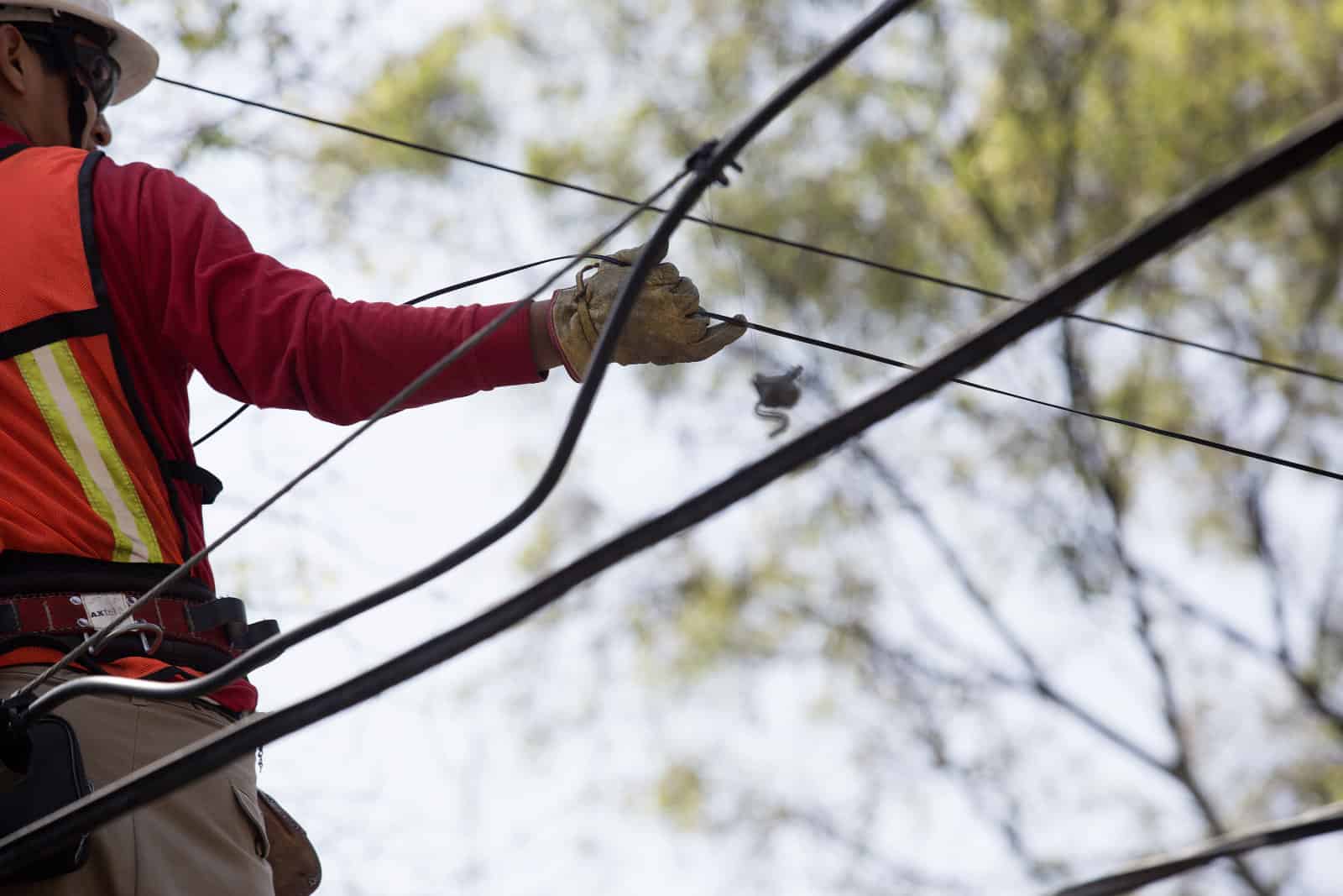 Small internet providers face a fight for their lives