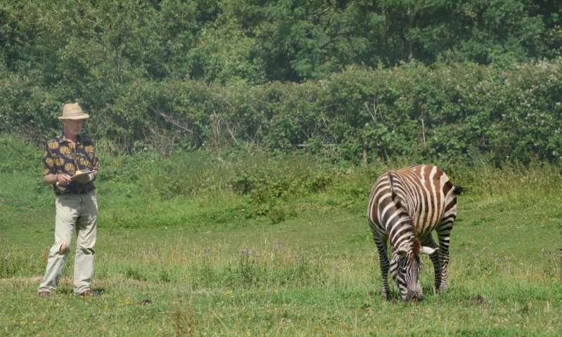 Research reveals why the zebra got its stripes