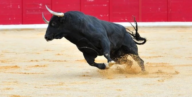 Goldilocks Economy Sends Dow Soaring in 2019, but Can the Party Last?