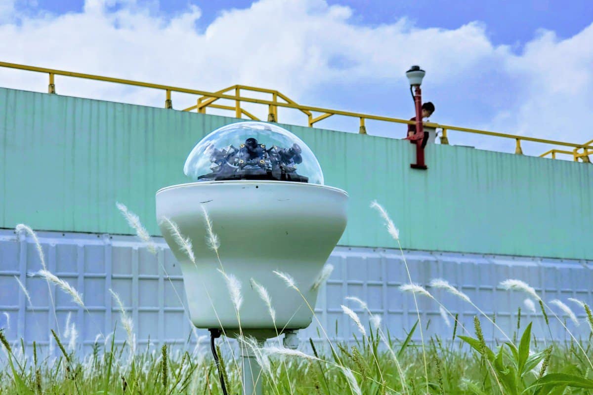 Artificial intelligence used in conservation project to study birds at Hong Kong’s Penfold Park and reduce sewage plant disturbance