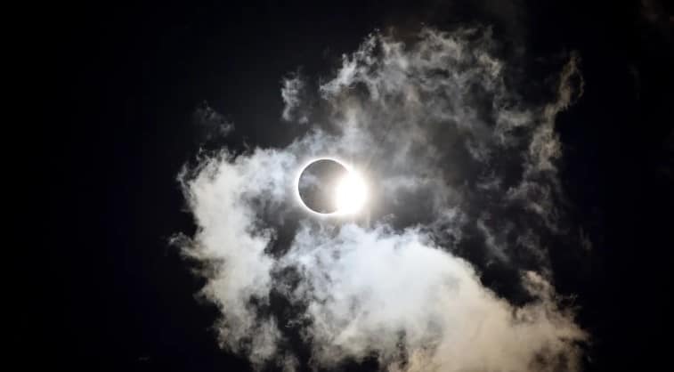 Lunar and solar eclipses make animals do strange things