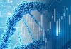 3 Biotech Stocks That Can Double Your Money in 2020