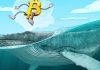 ‘Millionaire’ whales gobble up 90,000 Bitcoin over past 25 days