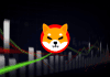 Shiba Inu Price Looking for New Support, Shiboshi Game In Development