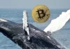 Crypto Whale Moves $1.58B In Bitcoin, Where The BTC Is Now Being Stored