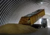 Poland and Hungary ban Ukrainian grain amid glut from neighbor