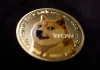 Dogecoin jumps more than 30% after Musk changes Twitter logo to image of shiba inu