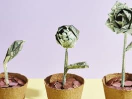 Let a Thousand Investment Flowers Bloom