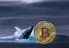 Bitcoin Whales Take Charge as Number of $100K Transactions Surge