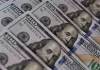 Dollar steady after producer prices push back on Fed rate cut outlook