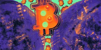 Crypto market sees $665 million in daily liquidations as bitcoin tanks below $55,000