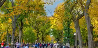 New Yorkers React To Retirement Numbers, Exclaiming ‘Who Could Save That Much?’