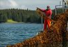 Could seaweed farms become the next generation of mines?