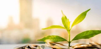 Financial planner advises calm amid market turmoil, urges long-term investment strategies