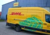 DHL will stop shipping packages over $800 to U.S. customers due to new customs rules