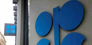 OPEC says world economy may do better in second half of year