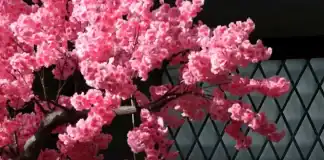 WH Smith cuts profit forecast after accounting error in North America unit