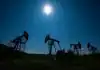 Oil steady as market weighs supply risk from attacks on Russian refineries