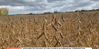 Bessent Sees China Progress as Soy Fight Echoes Rare-Earth Spat