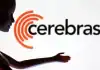 AI chip firm Cerebras files to withdraw highly anticipated US listing