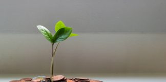 Record Capital Flows Transform American Tech Stocks Through AI Investment Surge