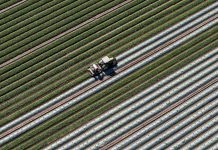 Why the Iran war might not raise your grocery bill until next year