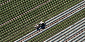 Why the Iran war might not raise your grocery bill until next year