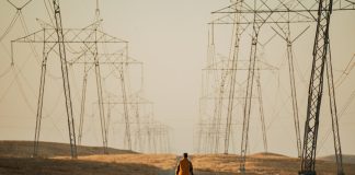 Rising Giants Transform American Technology Investment Landscape Through Sector Leader Emergence