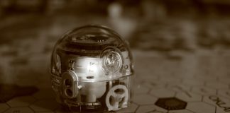 Smart Investors Capitalize on Sector Leader Emergence in Technology Markets