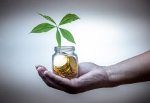 Inside the Numbers That Drive Superior Retirement Fund Performance
