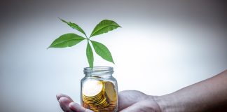 Inside the Numbers That Drive Superior Retirement Fund Performance