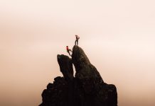 Smart Investors Are Capitalizing on Sector Leader Emergence in Tech Markets