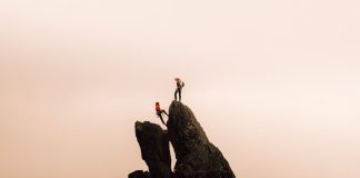 Smart Investors Are Capitalizing on Sector Leader Emergence in Tech Markets