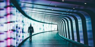 Smart Investors Capitalize on Sector Leader Emergence in Tech’s Next Wave