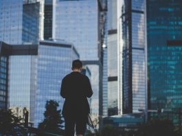 Market Dynamics Reveal How Sector Leader Emergence Accelerates Global Innovation Cycles