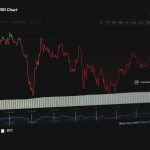 Analysts Reveal Hidden Gems Trading Below Fair Value in Today’s Market