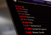 Wall Street Titans Brace for Impact as Market Correction Warning Signals Flash Red